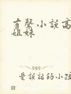 有声小说高树三姐妹封面