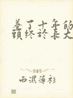 养了十年的小丫头终于长大了封面