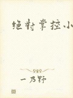 绝对掌控小说