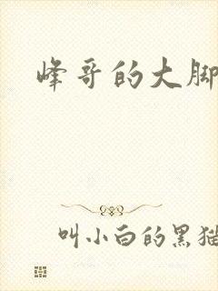峰哥的大脚