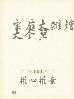 家庭大杂烩小说大全儿