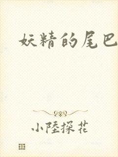 妖精的尾巴h