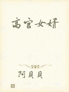 高官女婿