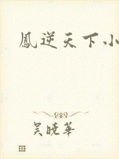 凤逆天下小说