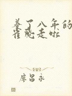 养了八年的金丝雀飞走啦封面