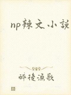 np辣文小说