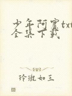 少年阿宾txt全集下载