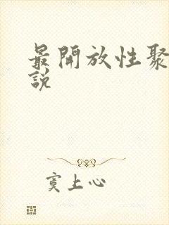 最开放性聚会小说封面