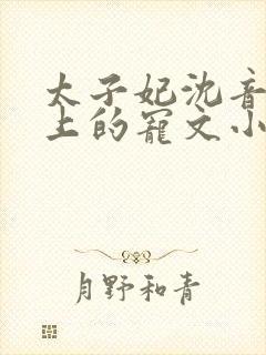 太子妃沈音和皇上的宠文小说封面