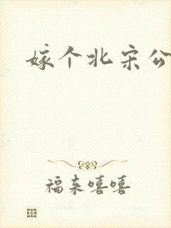 嫁个北宋公务员