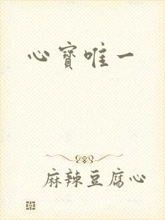 心宝唯一