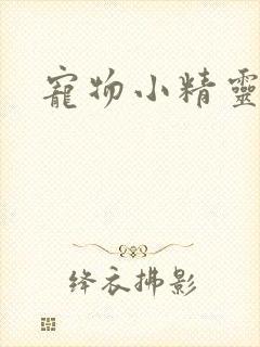 宠物小精灵漫画