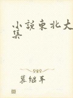 小说东北大炕全集