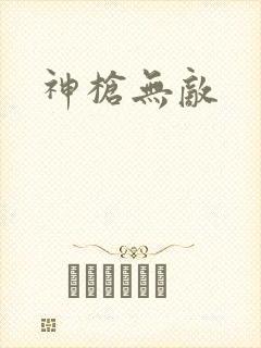 神枪无敌封面