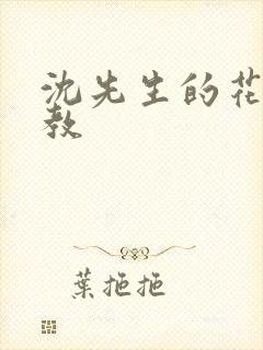 沈先生的花式调教封面