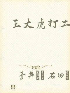 王大虎打工封面