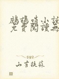 鹧鸪哨小说网站免费阅读无弹窗