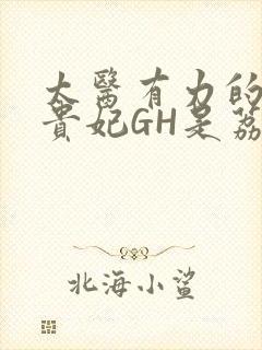 太医有力的撞着贵妃GH是荔枝