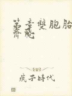 第章双胞胎姐妹齐飞