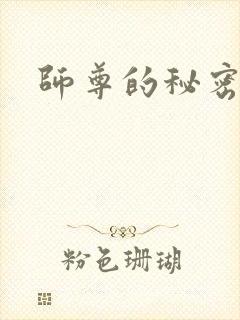 师尊的秘密