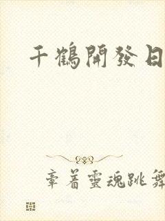 千鹤开发日记封面