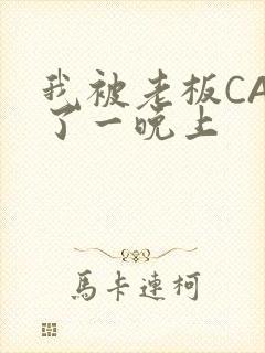 我被老板CAO了一晚上