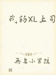 我的XL上司封面