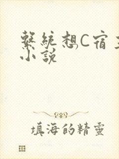 系统想C宿主的小说