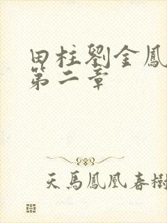 田柱刘金凤小说第二章封面