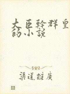 大臣干群皇太后的小说封面