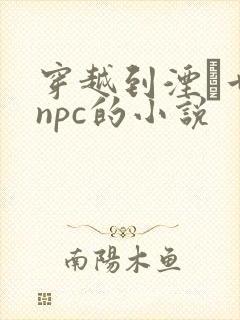 穿越到湮婸世界npc的小说