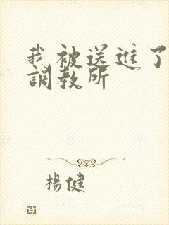 我被送进了私奴调教所