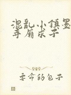 混乱小镇墨池砚寺庙求子封面