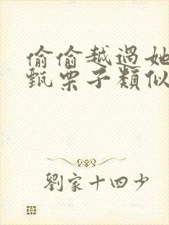 偷偷越过她by甄栗子类似小说封面