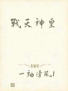 战天神皇封面