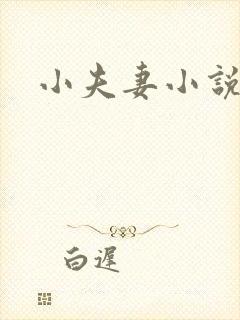 小夫妻小说