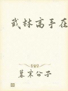 武林高手在异界