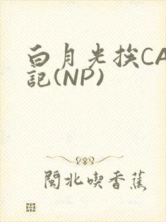 白月光挨CAO记(NP)