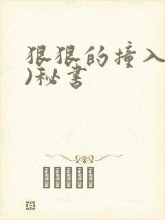 狠狠的撞入(h)秘书