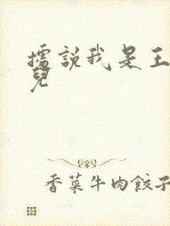 据说我是王的女儿封面