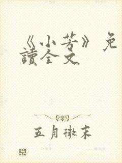 《小芳》免费阅读全文