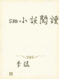 sm小说阅读封面