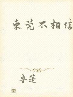 东莞不相信眼泪