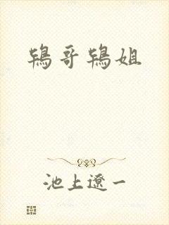 鸨哥鸨姐