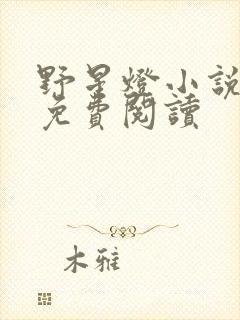 野星灯小说全文免费阅读