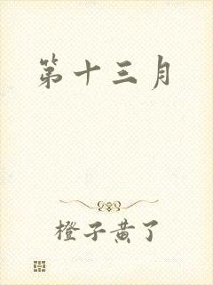 第十三月封面
