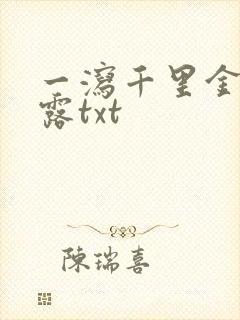 一泻千里金银花露txt