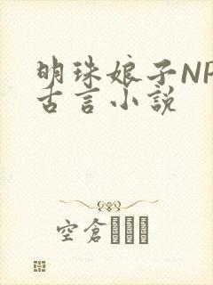 明珠娘子NPC古言小说