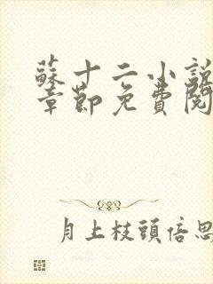 苏十二小说最新章节免费阅读封面