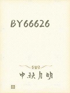 BY66626封面